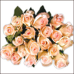 "Talking Roses (Print on Rose) (100 White Roses) Happy Birthday - Click here to View more details about this Product